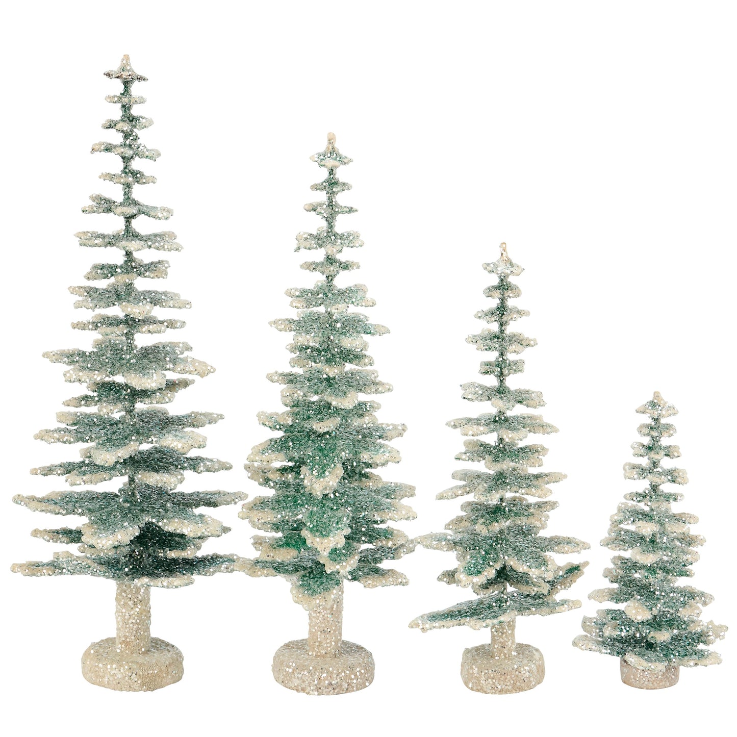 Evergreen Tree