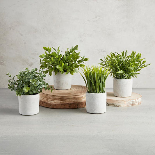 Artificial Plants - Cement Pot - Grass