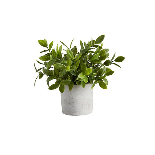 Artificial Plants - Cement Pot - Bush