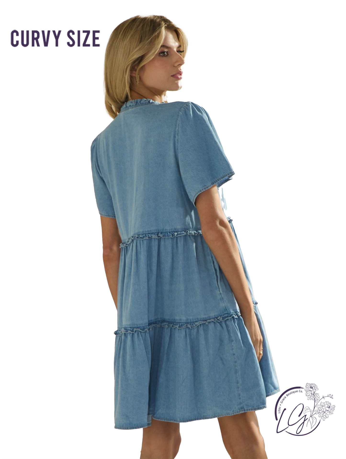 Curvy Wander in Indigo Babydoll Dress