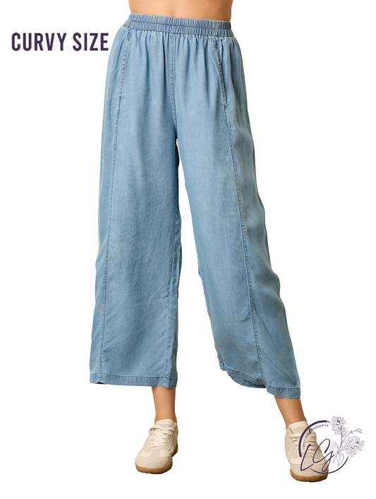 Curvy Faded Blue Shines Pants