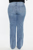 Curvy Nova High Rise Straight Jeans by Kan Can