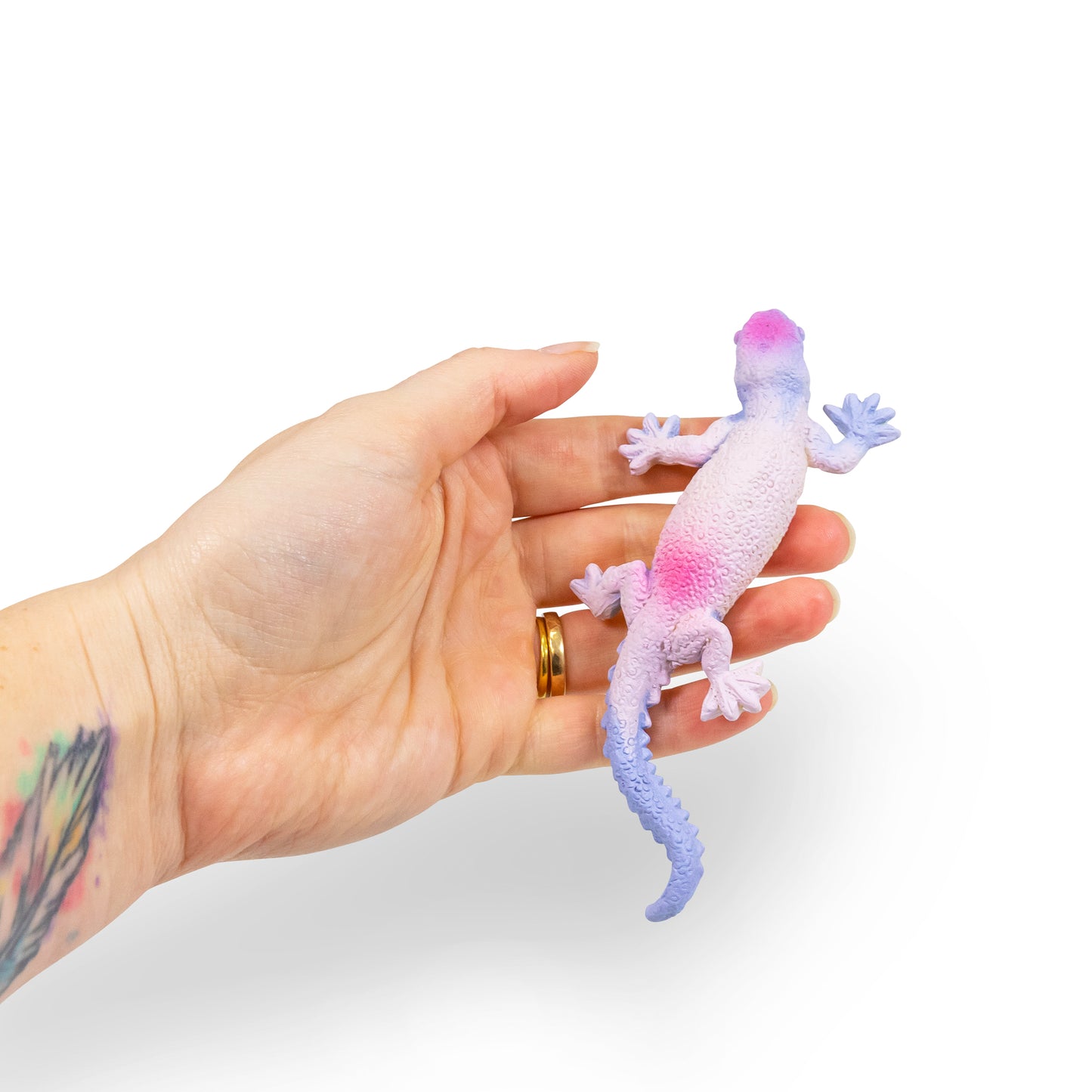 Mini Color Changing Lizards