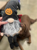 Halloween Gnomes
