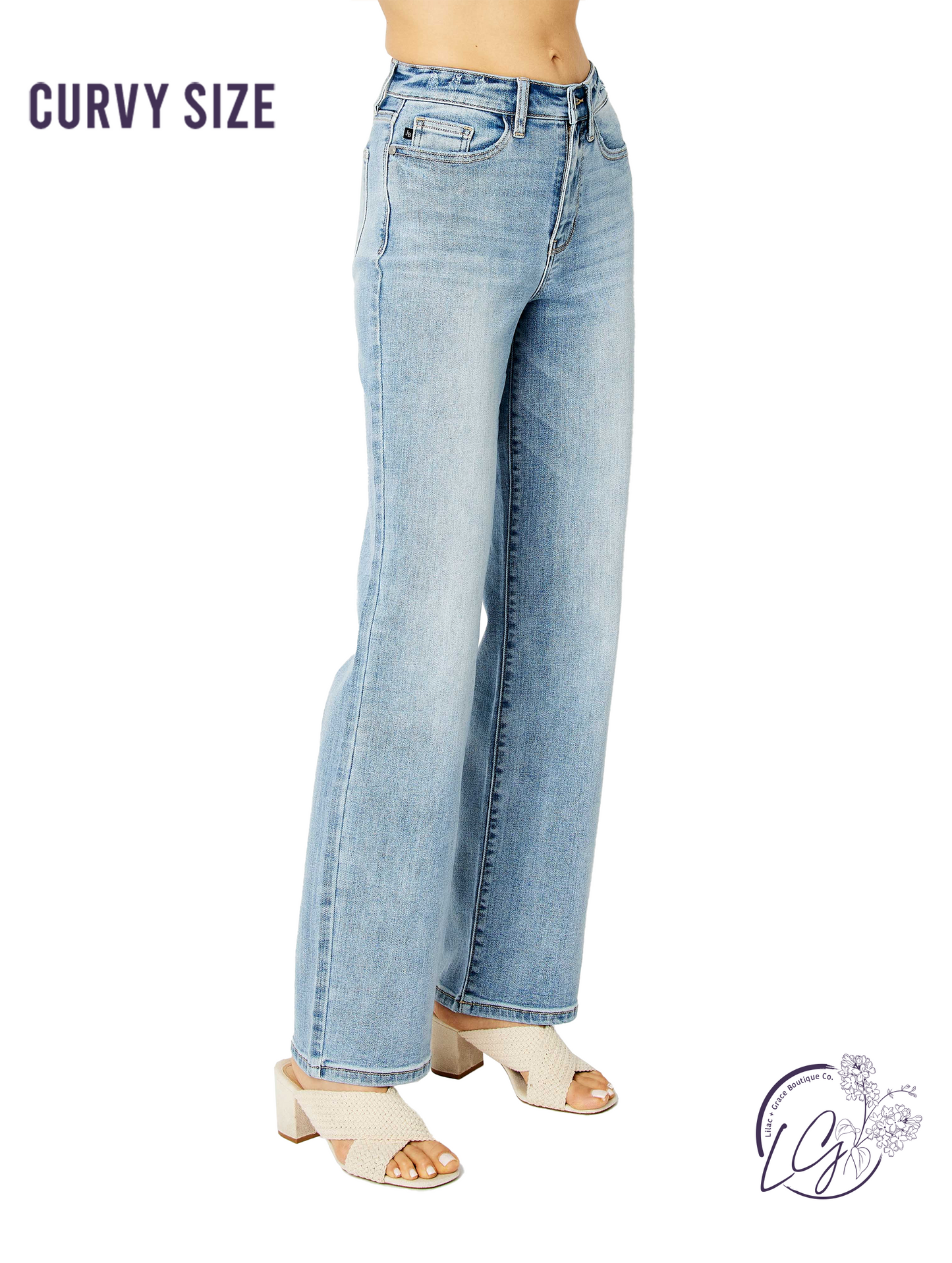 Curvy Karina Light Wash Straight Leg Jeans by Judy Blue