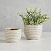 Striped Ceramic Pot
