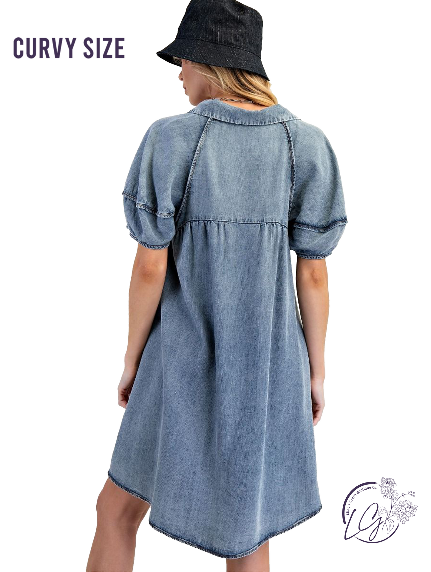 Curvy Blueveil Chambray Dress