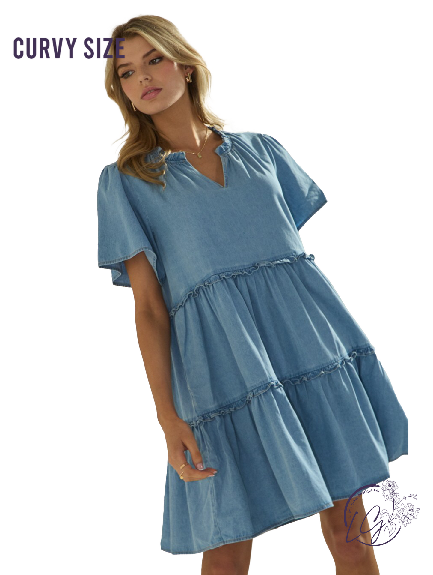 Curvy Wander in Indigo Babydoll Dress