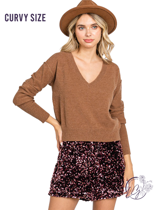 Curvy Autumn Noir V-Neck Sweater