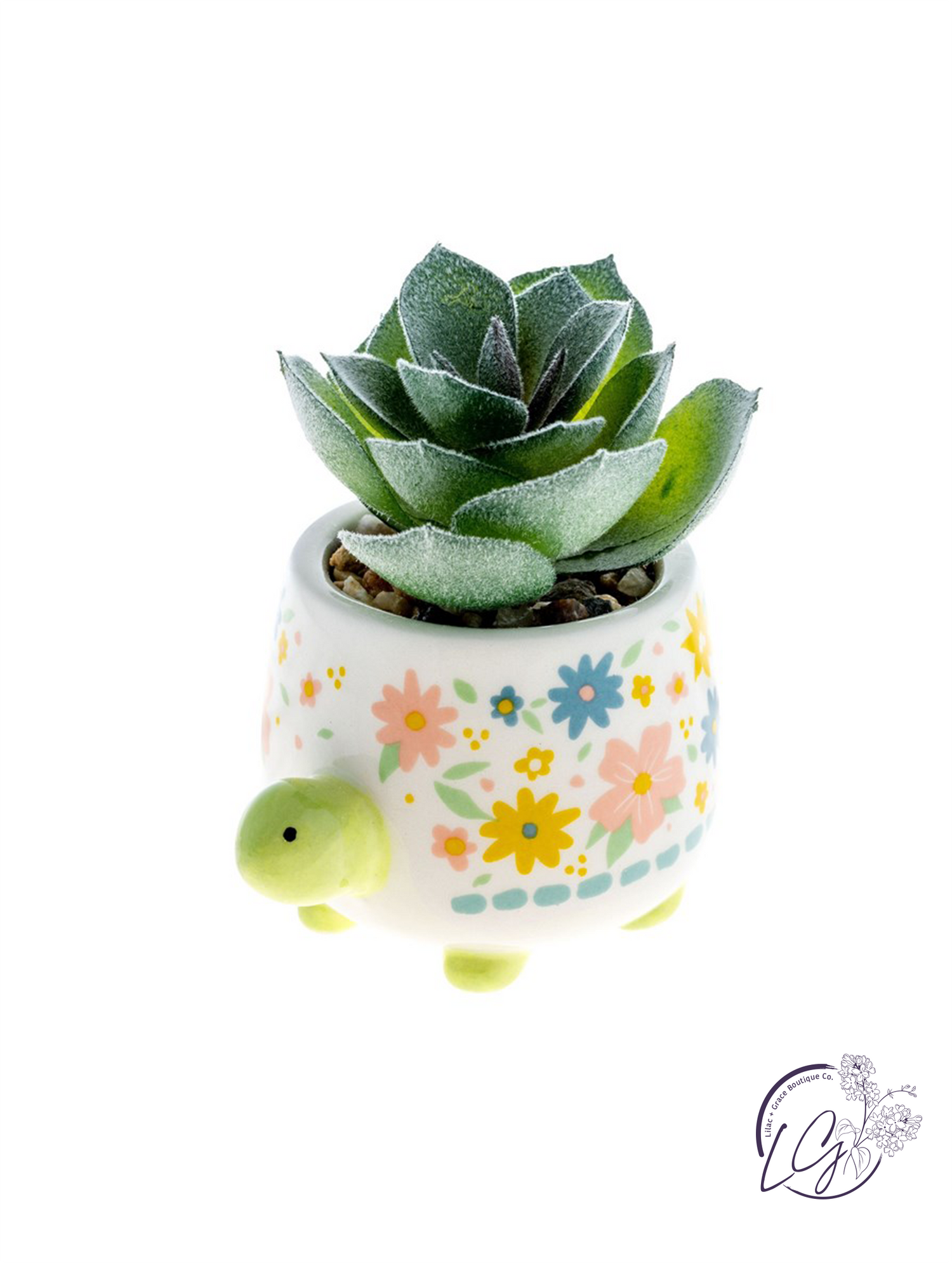 turtle succulent pot Shaped Succulent Pot Turtle