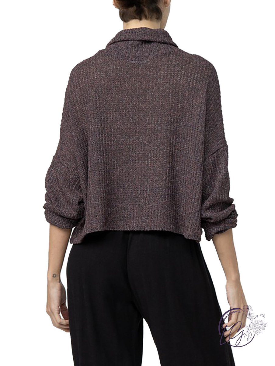 Let's Go Again Turtleneck Crop Sweater