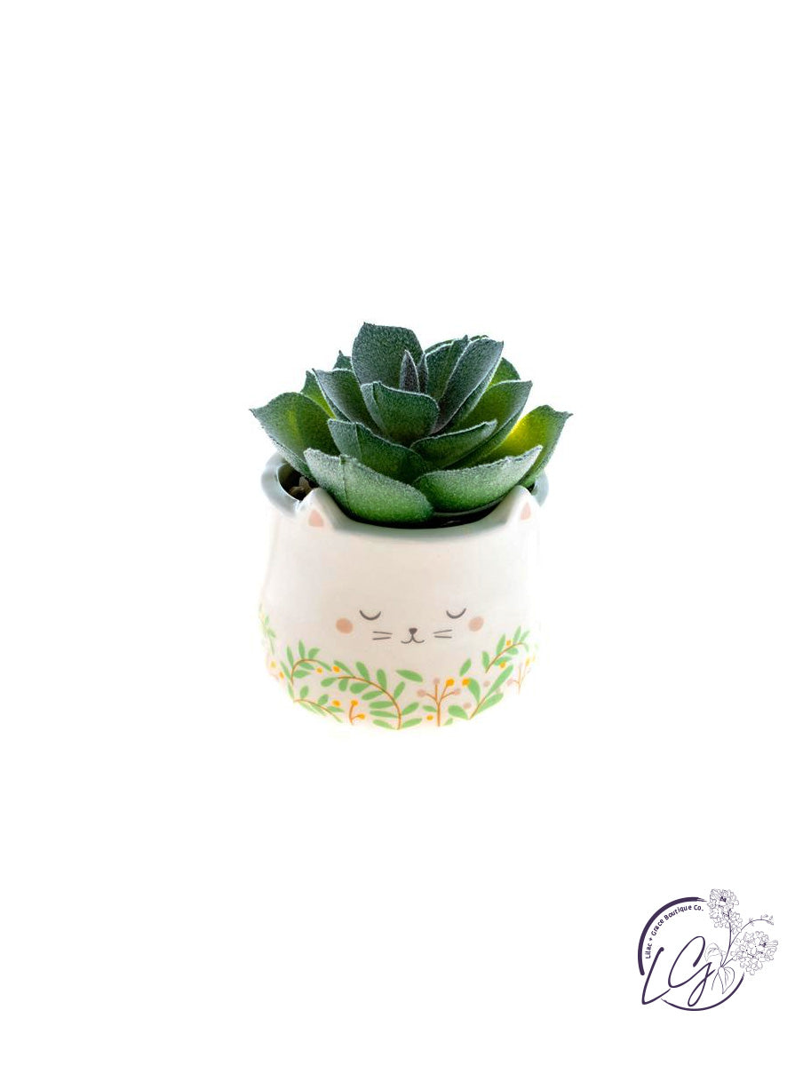 Shaped Succulent Pots