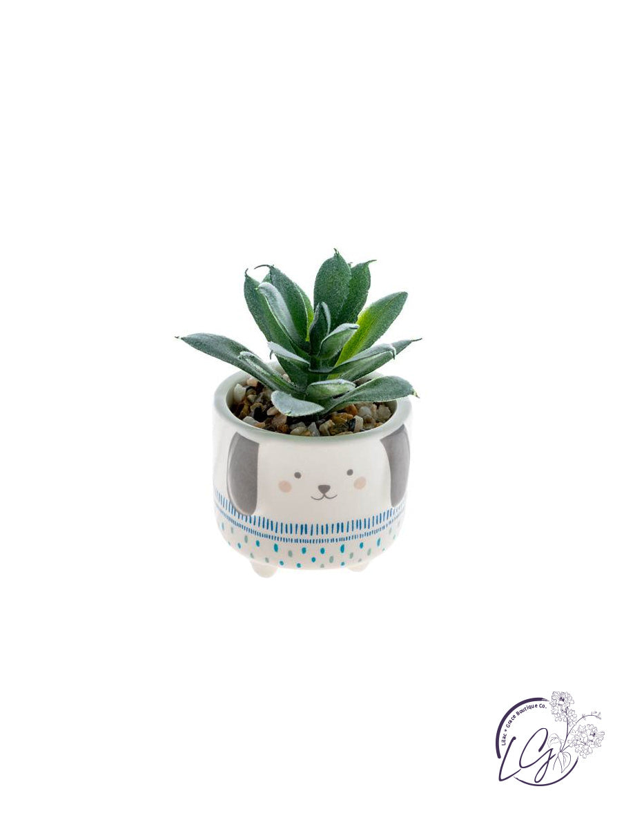 Shaped Succulent Pots